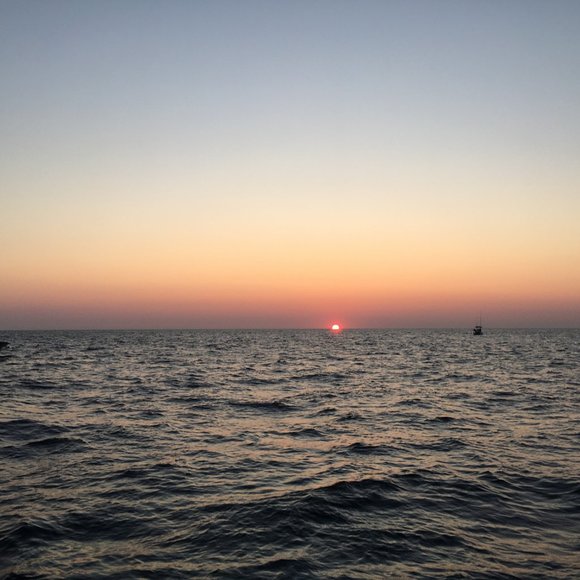 Meet your Posher, Anthony - Picture 2 of 2